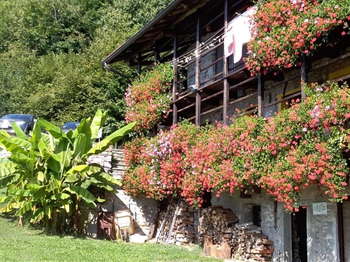 B&B "La Baita Delle Coccinelle" Varallo Exterior photo
